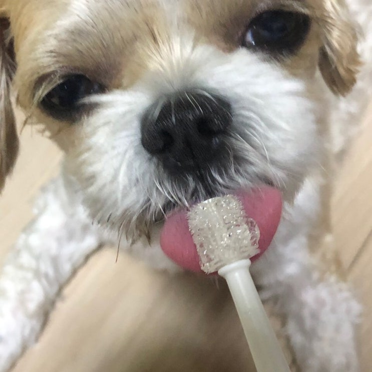  오늘일기 5/29