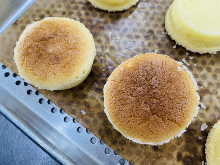  [제과기능사 실기 준비] 치즈케이크 만들기 