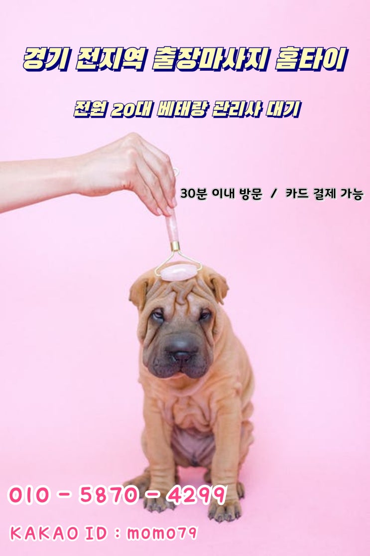  평택출장마사지 평택동 지제동 소사동 지산동 합정동 비전동 서정동 세교동 진위면 서탄면 홈타이