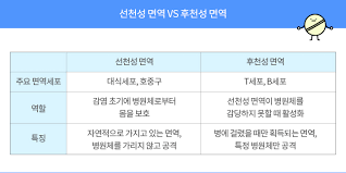 성인간호학 감염공부 직접비말전파 항생제내성균MRSA VRE 무균술 격리방법