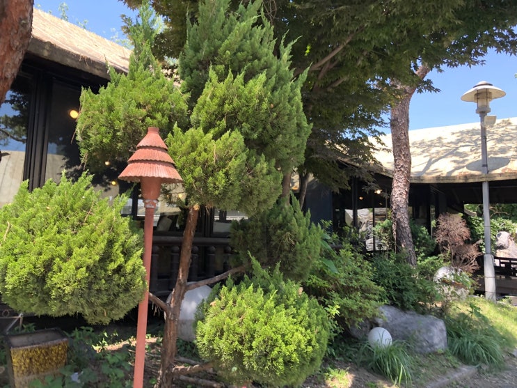  0530 이상따로 몸따로
