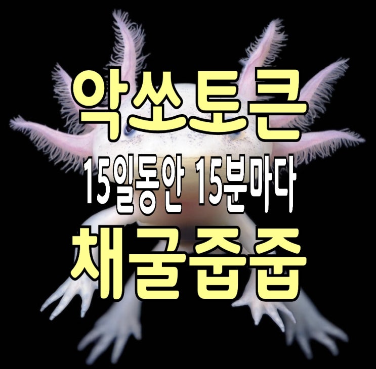 AXO코인, 15분마다 15일동안 불꽃튀는 채굴의 시작 AXO코인, 15분마다 15일동안 불꽃튀는 채굴의 시작