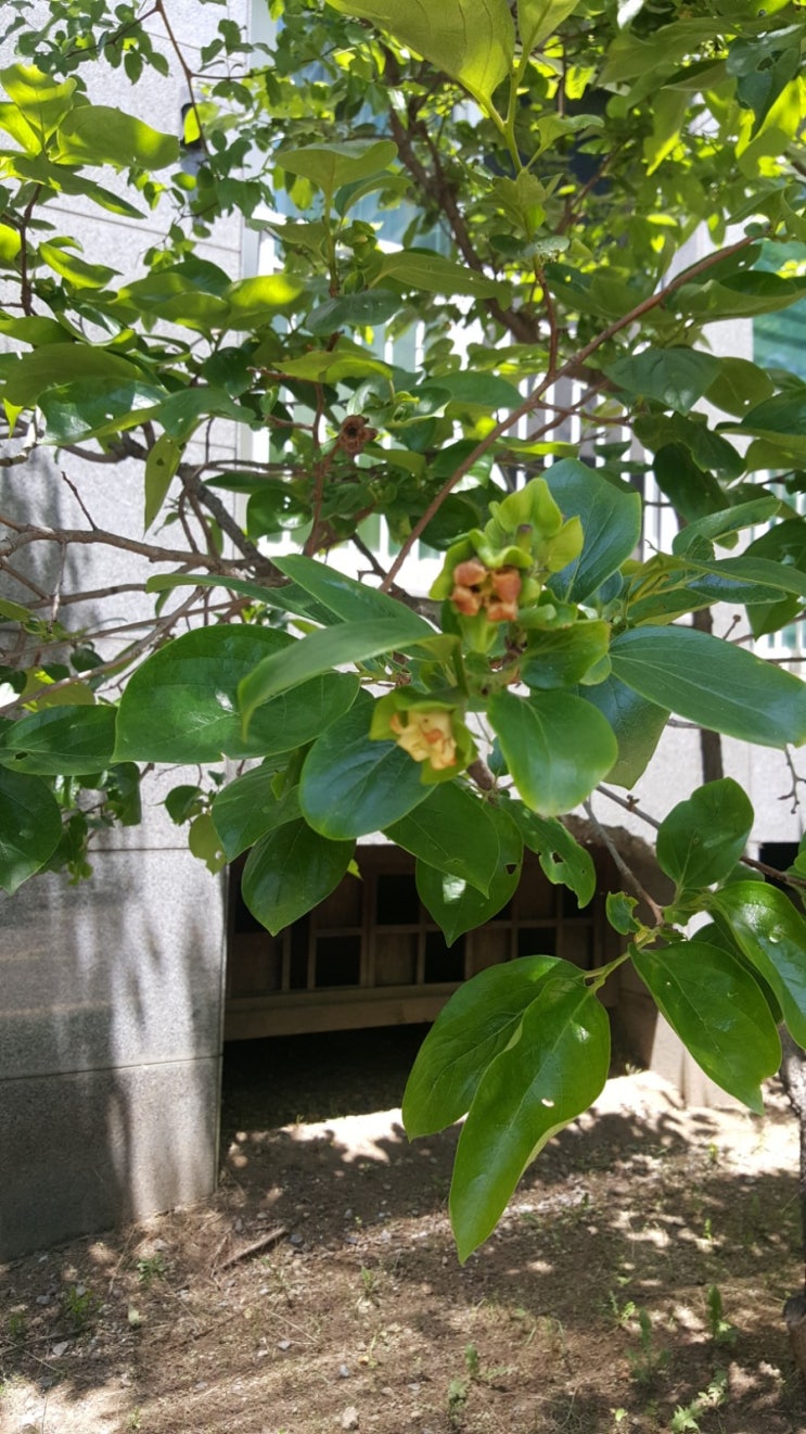 블로그 챌린지 오늘일기 5/30