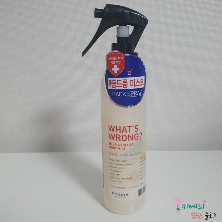  여름철 등드름미스트 추천 / 후르디아바디미스트