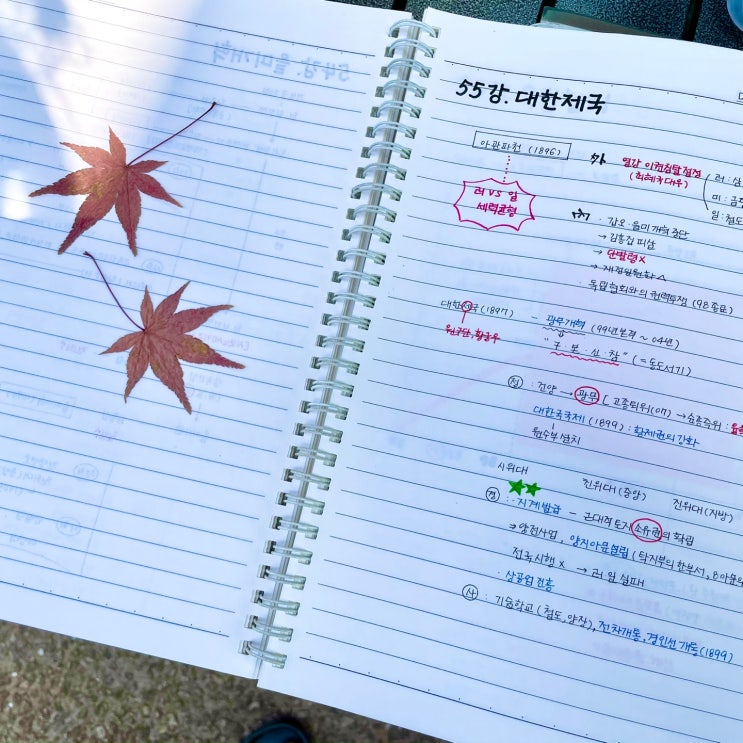  [#오늘일기,일곱]작렬하는 태양아래 노트로 레트로