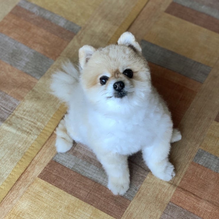  5월 30일 미오가 담긴 나의일기