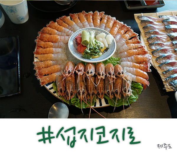  제주도 딱새우와 고등어 회는 여기 섭지코지로