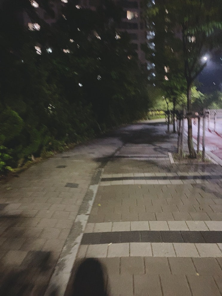  21.05.30 일기