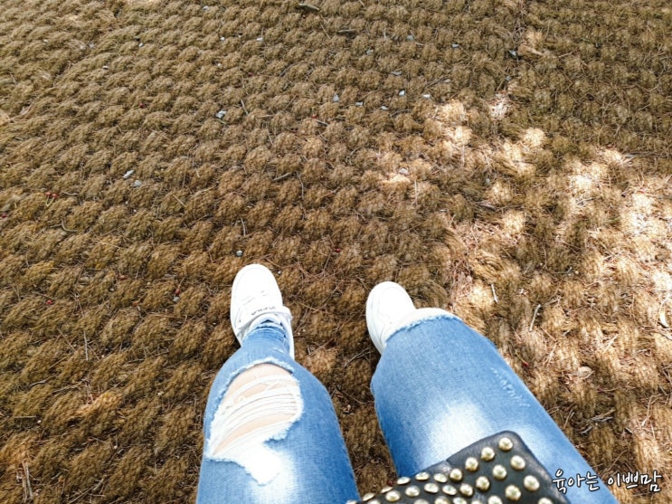  오늘일기 7일차 _ 육아는 이쁘맘
