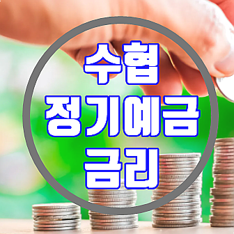  수협 정기예금 금리 높은 상품 Vs 특판 비교