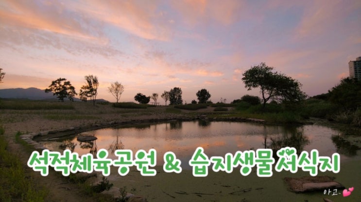  석적체육공원 &습지생물서식지 칠곡 가볼만한곳, 산책하기 좋은곳
