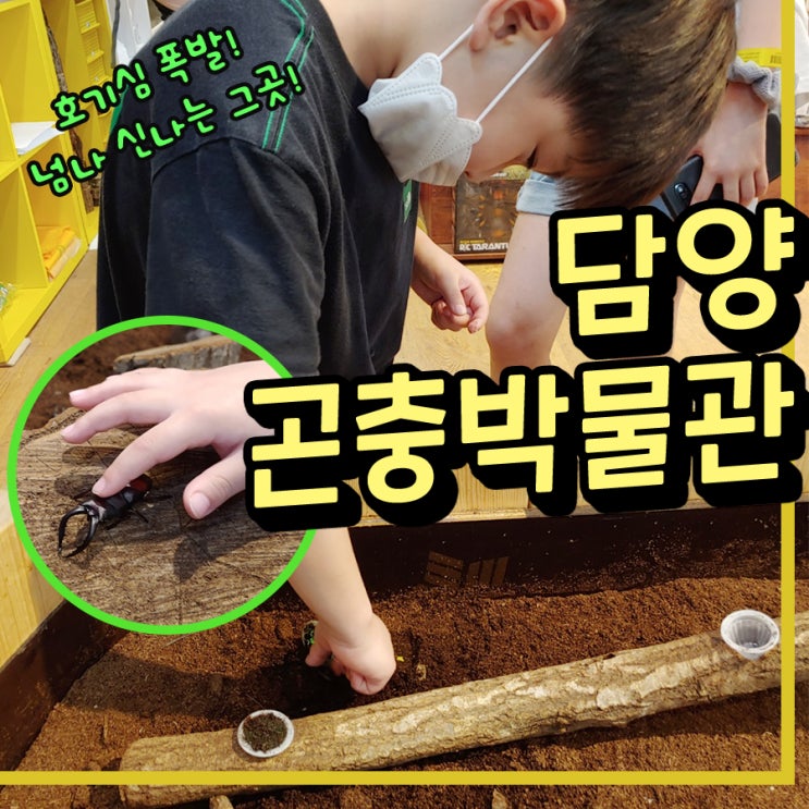  담양곤충박물관, 호기심이 폭발하는 그곳! 아이들과 체험학습(feat. 자연+파충류 체험+놀이터)