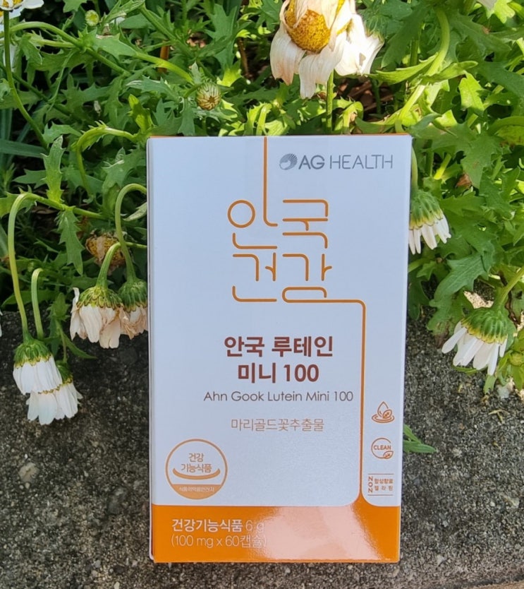  루테인추천 안국건강루테인미니100 먹어보기!