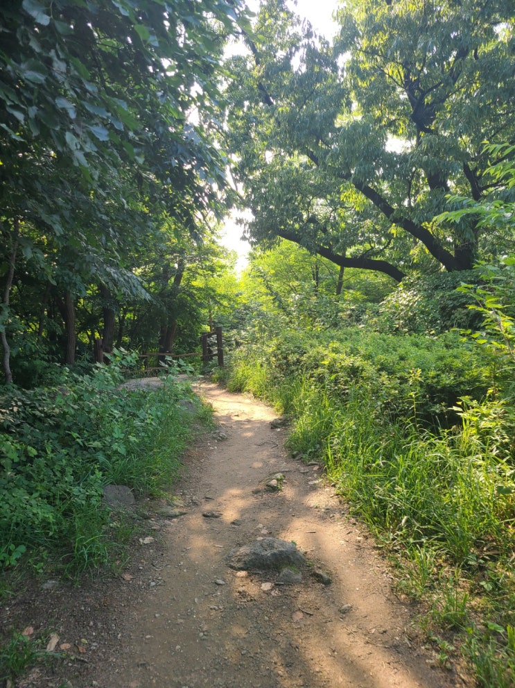  주말마다 국사봉 오르내리기