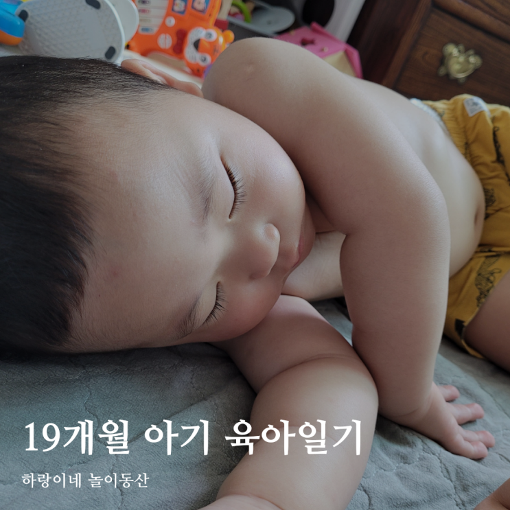  19개월 아기 성장발달 육아일기 600일 / 주말일상, 엄마 껌딱지 캥거루케어