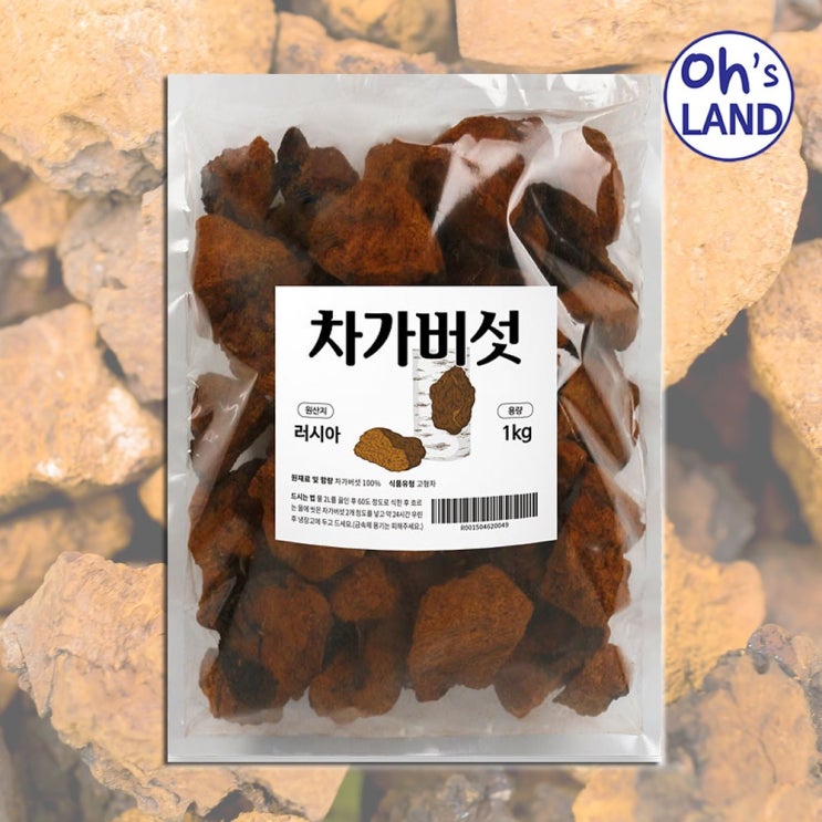 당신만 모르는 오스랜드 우수한 품질 러시아산 차가버섯 원물 1kg 1팩 ···