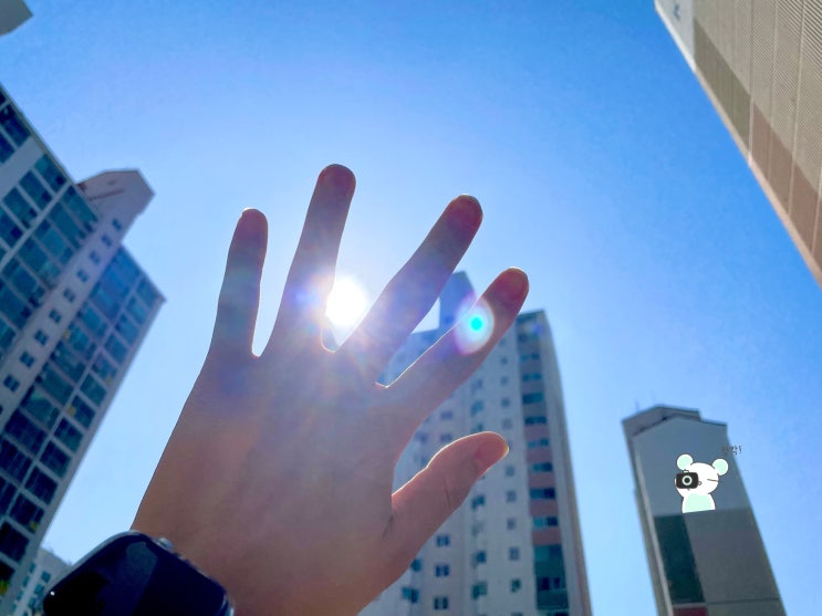  햇빛이 너무 좋았던 날