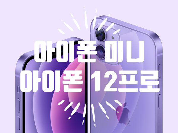 [내돈내산] 애플 아이폰 미니 3대와 아이폰 12프로 구입!