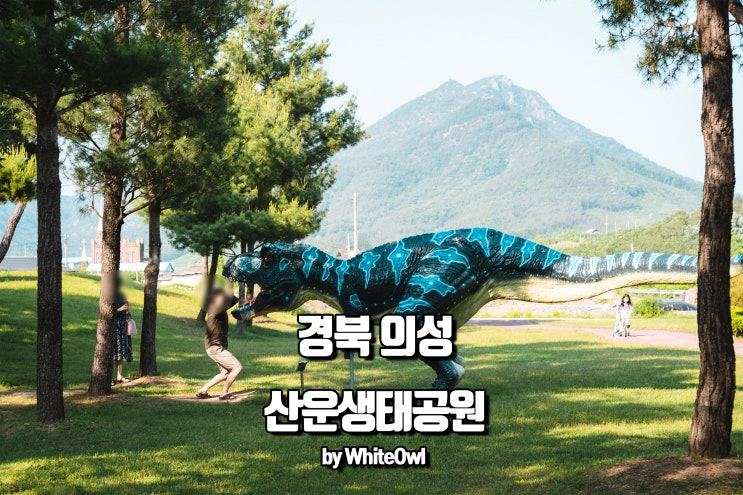  경북 의성 가볼만한곳 산운생태공원에서 피크닉하기