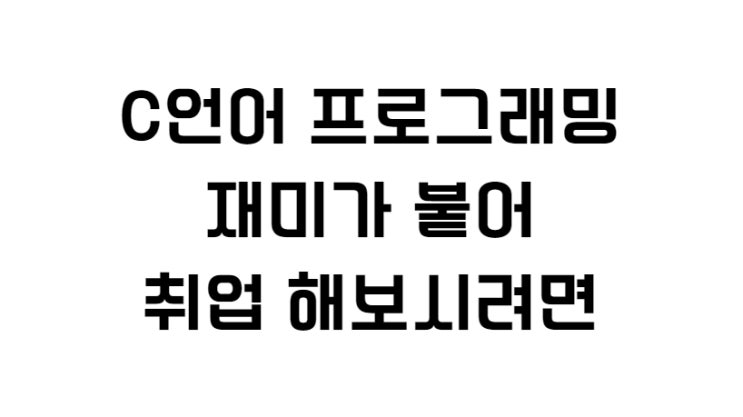  C언어 프로그래밍 재미가 붙어 취업 해보시려면