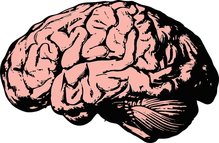 [과학칼럼] 사람 뇌, 미신 믿도록 설계됐다