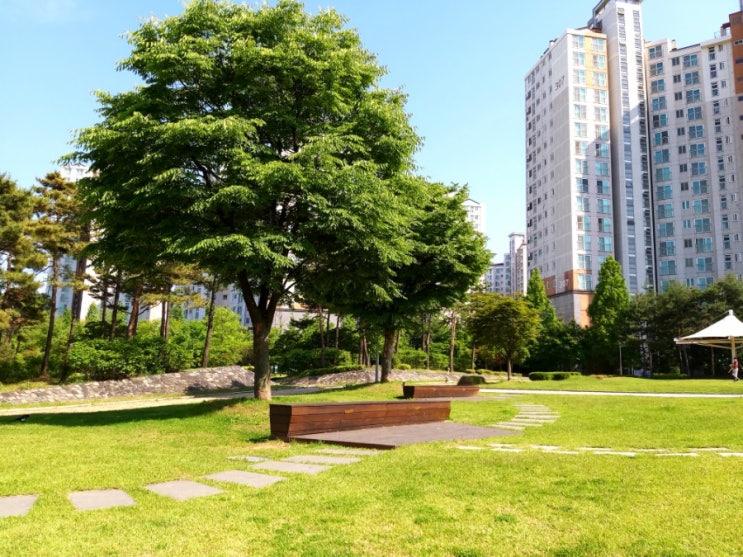  화창한 날 집 근처 공원, 날씨가 하루하루 오락가락, 어제는 비오고 춥더니 오늘은 완전 여름 날씨