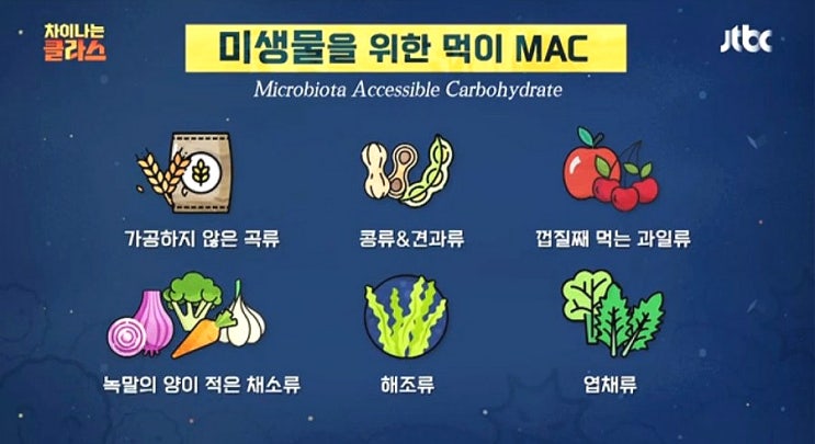  내 몸속 동반자, 미생물이 좋아하는 먹이는?