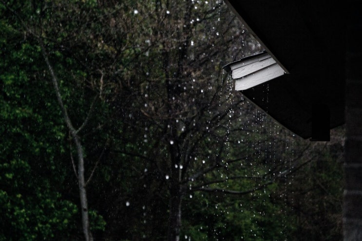 0530 오늘일기 / 하기 싫은 일이 있을 때는. 0530 오늘일기 / 하기 싫은 일이 있을 때는.