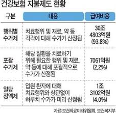 간호관리학 진료비지불제도 장단점 포괄행위별수가제 인두제봉급제 비교분석