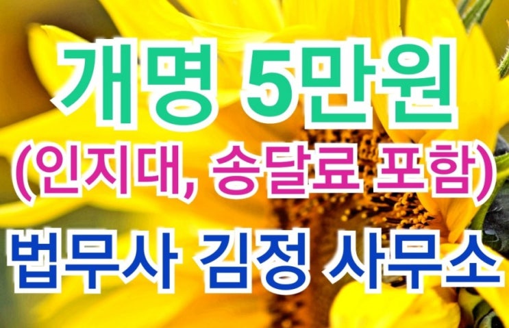  고흥, 전주, 인천, 수원 법원 최근 개명허가 사례