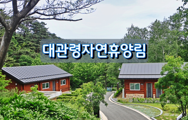 코로나19시대 가족휴양지 대관령자연휴양림 코로나19시대 가족휴양지 대관령자연휴양림