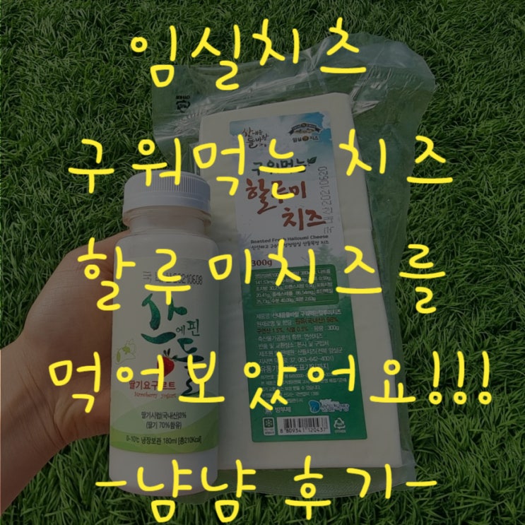  구워먹는치즈 임실 할루미치즈 와인안주