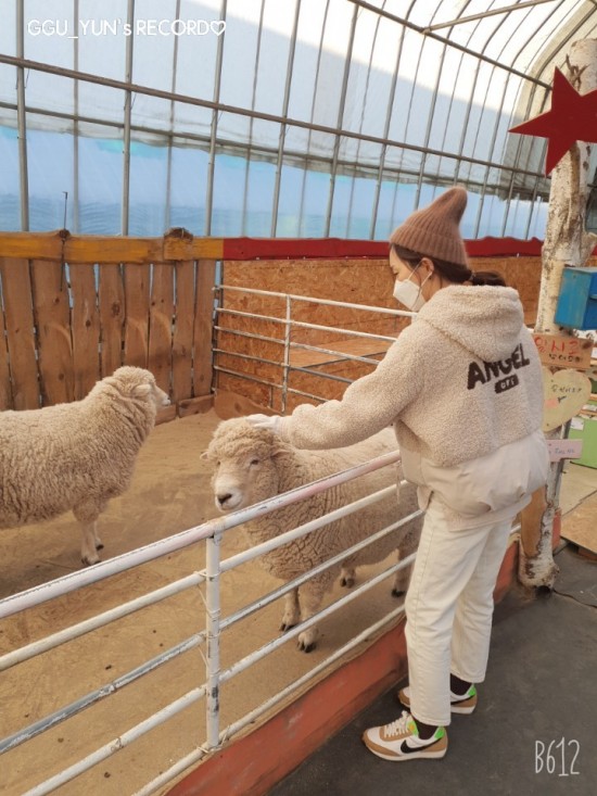  나이키 데이브레이크 베형 깔별 소장각