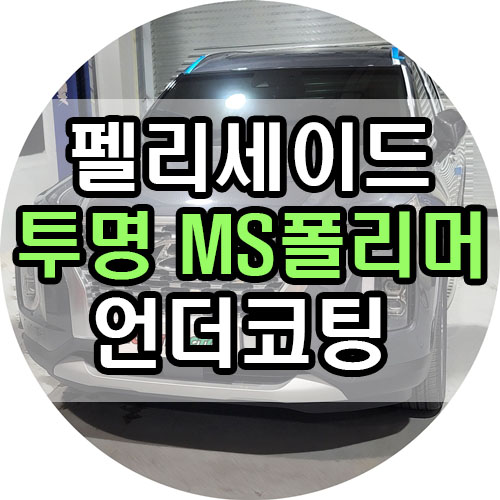  언더코팅 재료 뭘로 할 지 고민하고 계신가요? 펠리세이드 크리스탈 투명 ms폴리머 시공