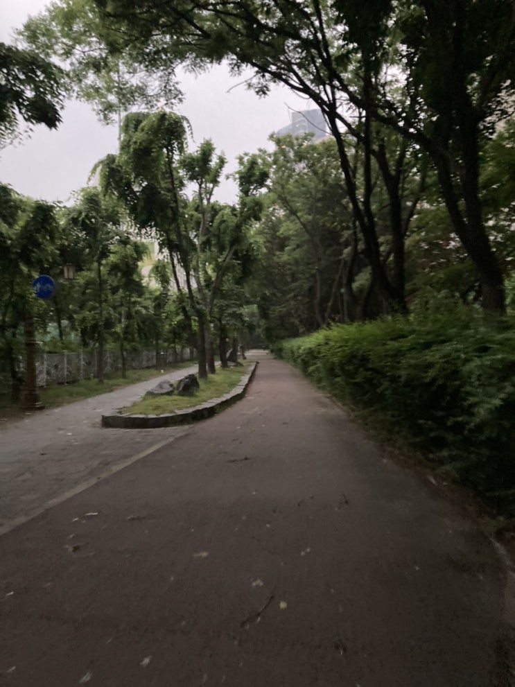 비