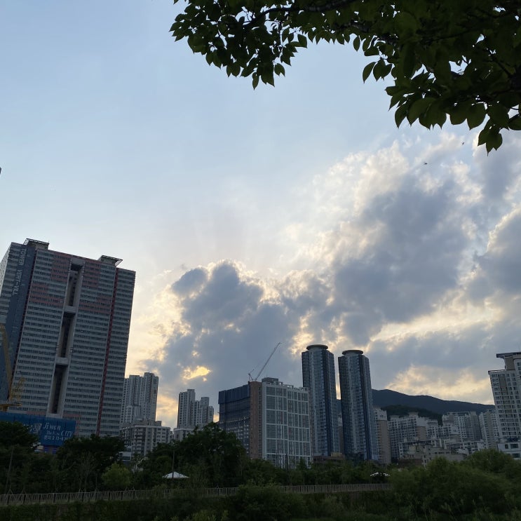  2021.05.30.일 오늘일기 ️