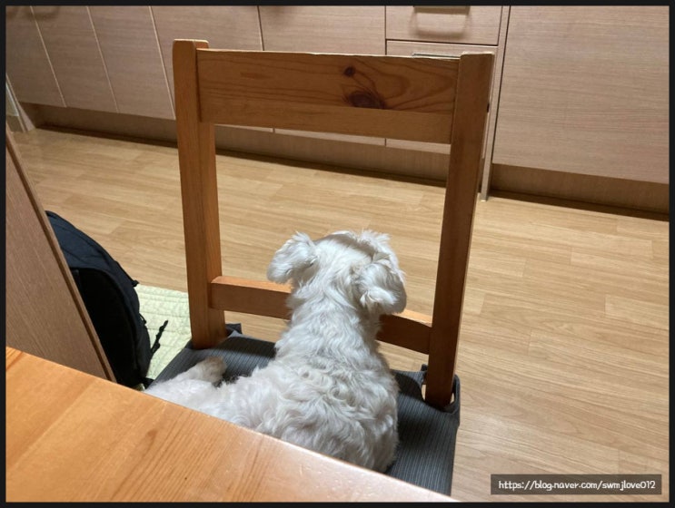  210531 월요일