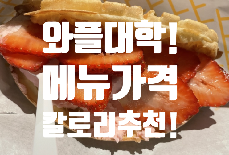  <와플대학 메뉴 가격 칼로리 한눈에 ! 추천메뉴 시나몬 딸기 젤라또!