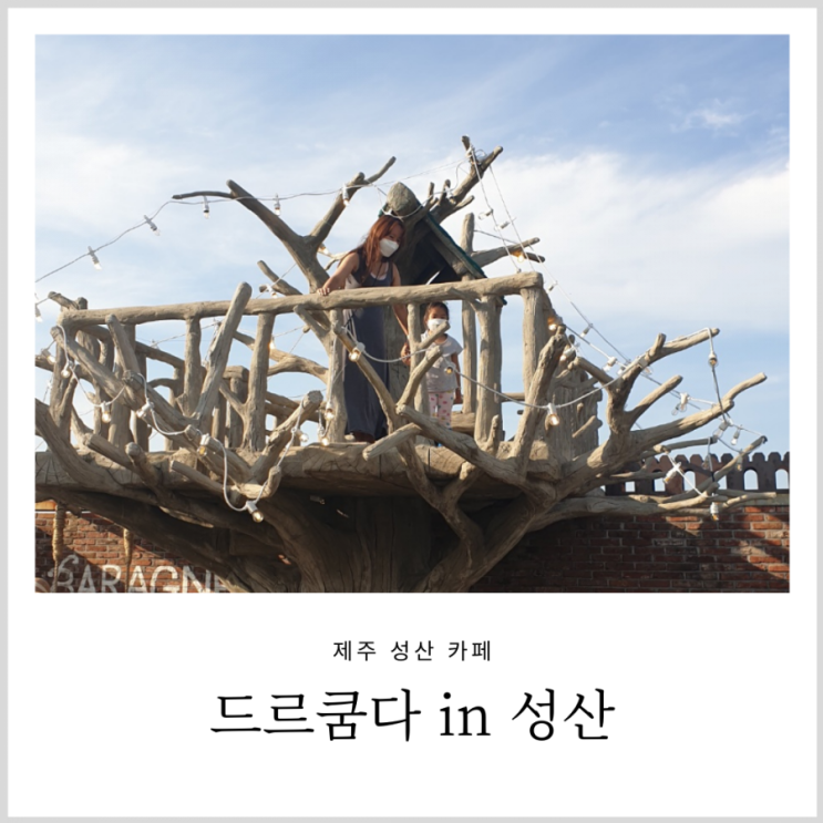 드르쿰다 in 성산 제주성산가볼만한곳 드르쿰다 in 성산 제주성산가볼만한곳