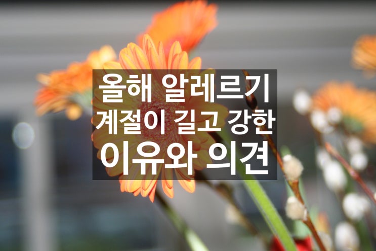  올해 알레르기 계절이 더 길고 강한 이유와 할 수 있는일 :)