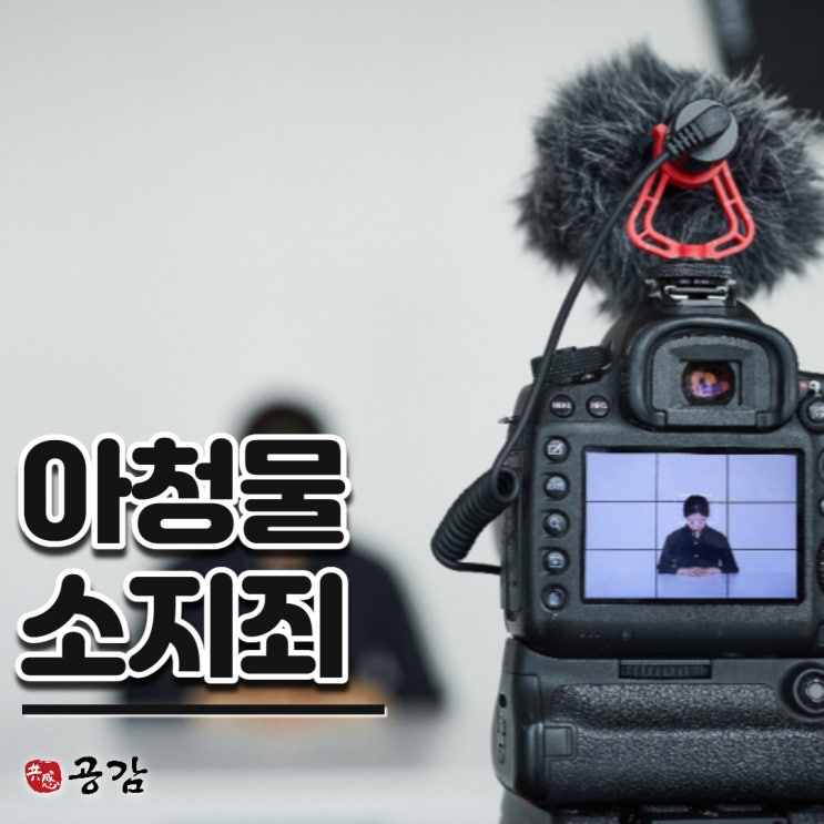 아청물소지죄, 변호인 도움이 절실한 이유 아청물소지죄, 변호인 도움이 절실한 이유