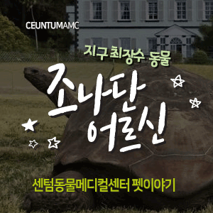  [동물뉴스]지구 최장수 동물, 조나단 어르신