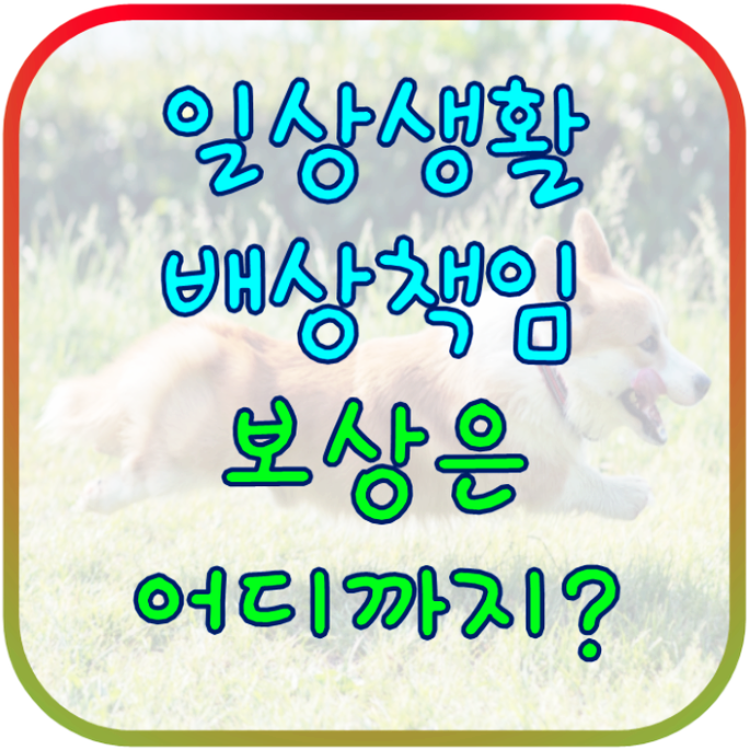  일상생활배상책임 보상 범위 및 청구 방법 확인하세요