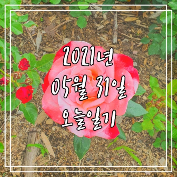  2021년 5월 31일
