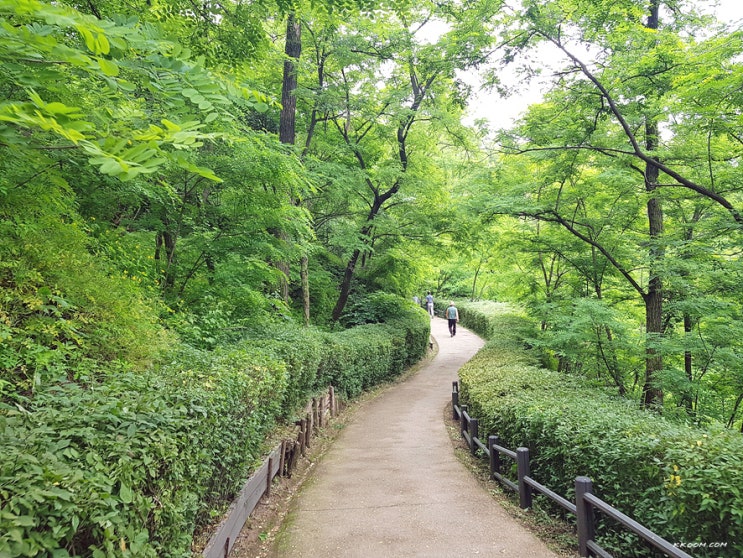 인왕산 안산 연계 등산코스(국사당~무악재하늘다리~안산자락길)