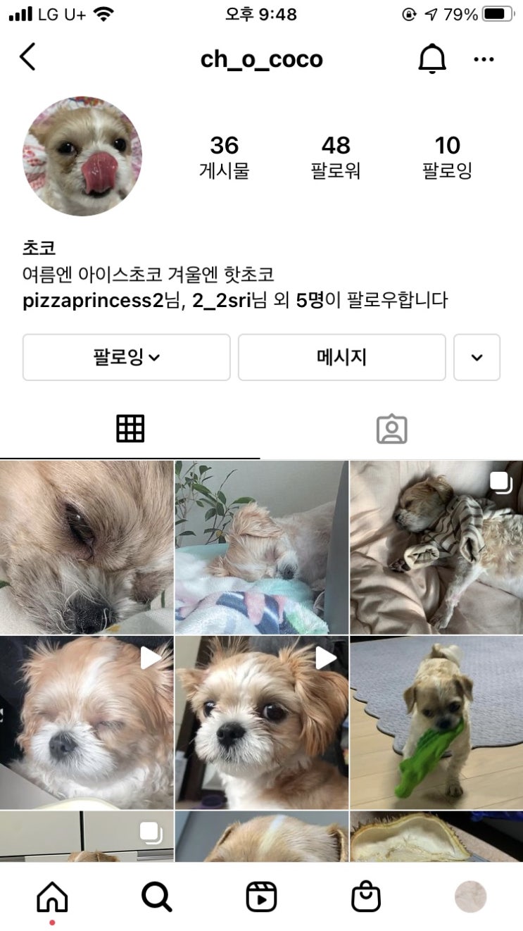  오늘일기 5/31