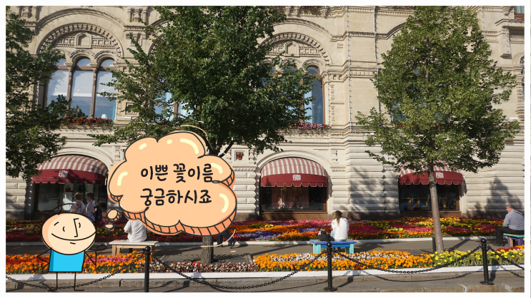  식물이름 찾기 이렇게 해보세요 정말 간단하게 알 수 있어요