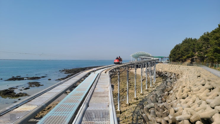  충남 보령 대천해수욕장 스카이바이크