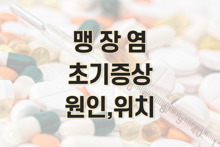  맹장염 초기증상 및 맹장 터지는 이유 (여자 맹장위치, 오른쪽 아랫배 통증, 수술비용)