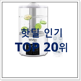 역대최강 미로가습기 물건 인기 판매 TOP 20위